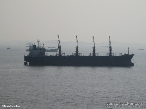 Golden Lion-195206 (IMC shipyard Zhoushan, China)